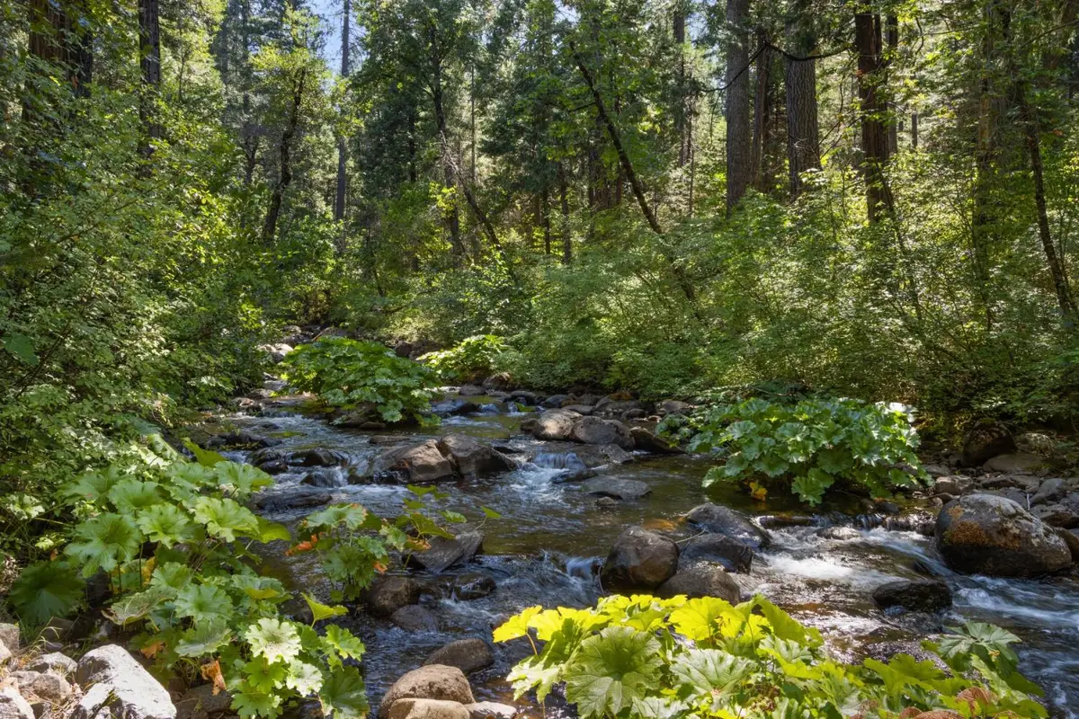 12625 Zeibright Road, Nevada City, CA 95959 - #1