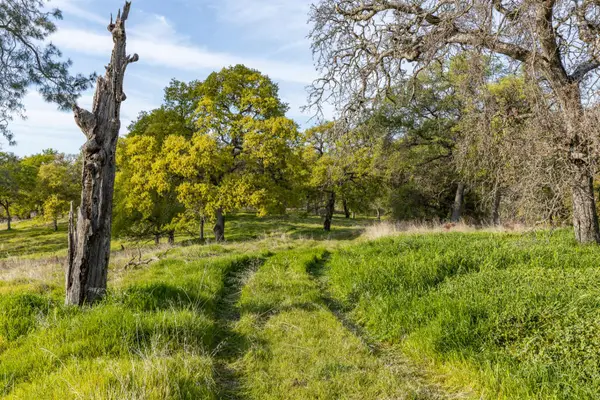 4042 Wilson Town Road, Lincoln, CA 95648