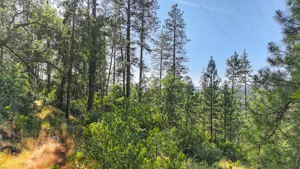 24316 Timber Ridge Drive, Auburn, CA 95602