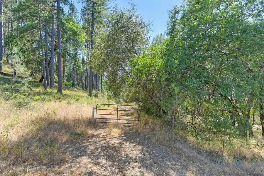 24316 Timber Ridge Drive, Auburn, CA 95602 - #2