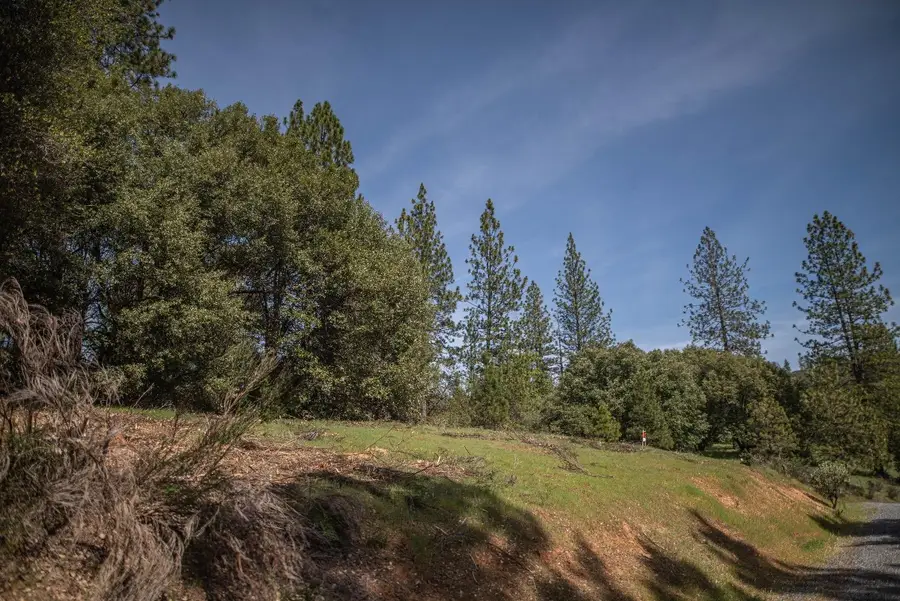 464 Highway 193, Greenwood, CA 95635 - #2