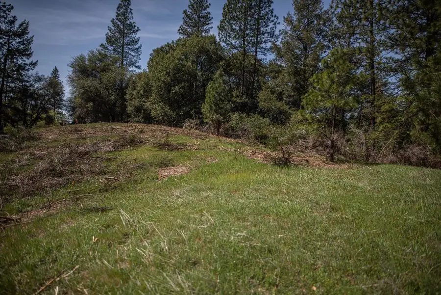464 Highway 193, Greenwood, CA 95635 - #3