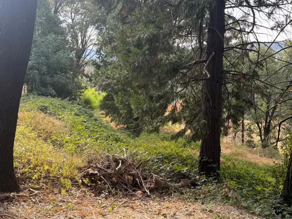 3124 Meyers Road, Camino, CA 95709