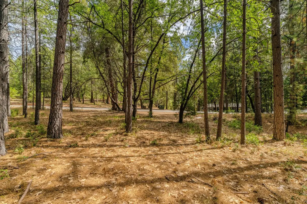 12900 Tabeaud Road, Pine Grove, CA 95665 - #1