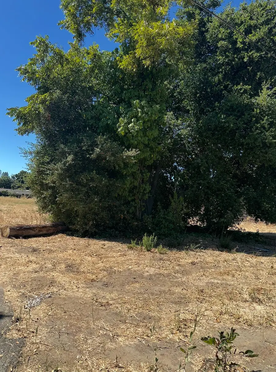 5011 Del Rio Road, Sacramento, CA 95822 - #3