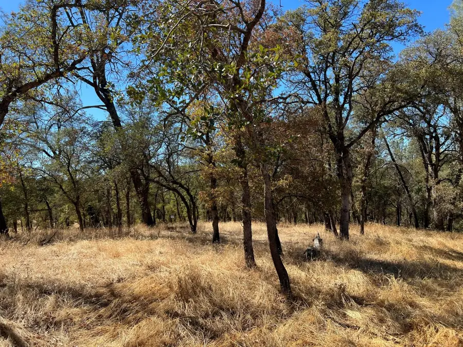 50 District Center Drive, Oroville, CA 95966 - #2