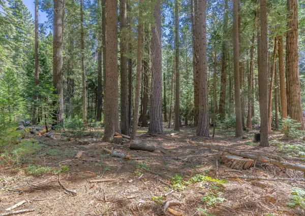 265 Margaret, Twin Bridges, CA 95735