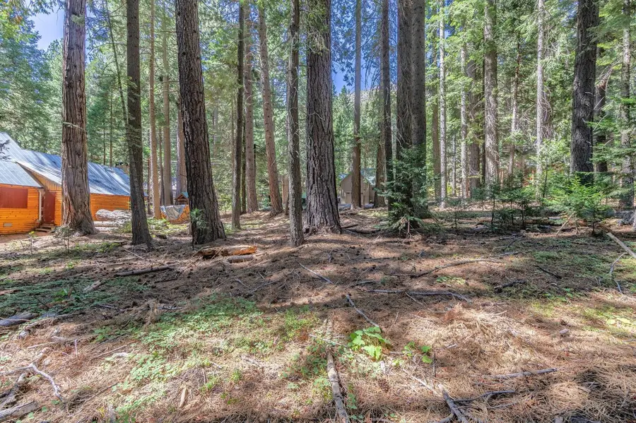 265 Margaret, Twin Bridges, CA 95735 - #2