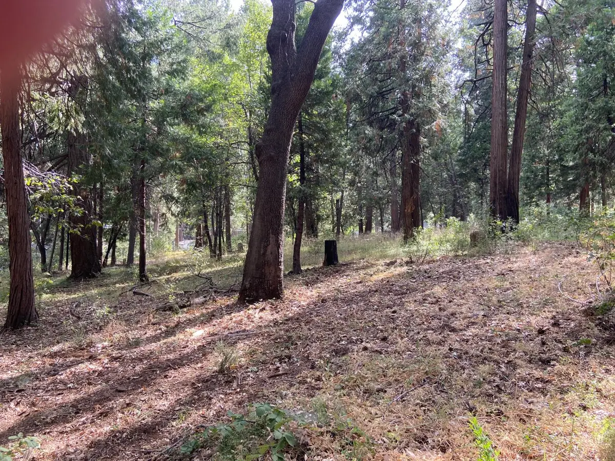 5869 Pony Express Trl, Pollock Pines, CA 95726 - #1