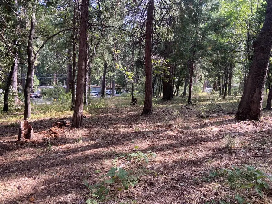 5869 Pony Express Trl, Pollock Pines, CA 95726 - #2