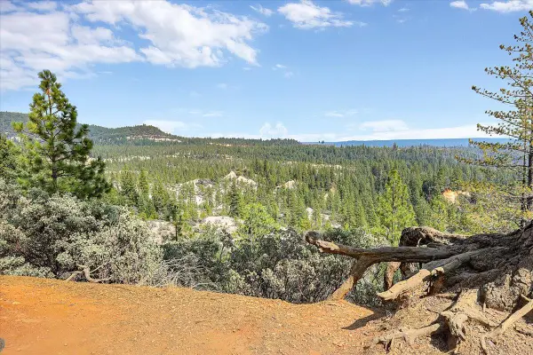20710 Chalk Bluff Road, Grass Valley, CA 95945