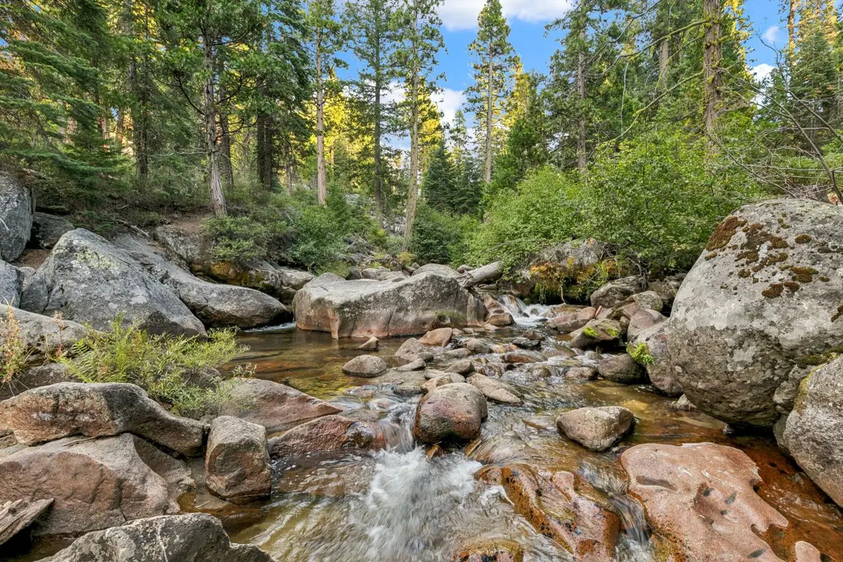 61 Sciots, Twin Bridges, CA 95735 - #1