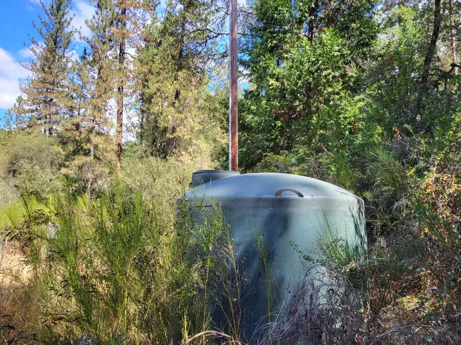 6354 Dean Road, Mount Aukum, CA 95656 - #2