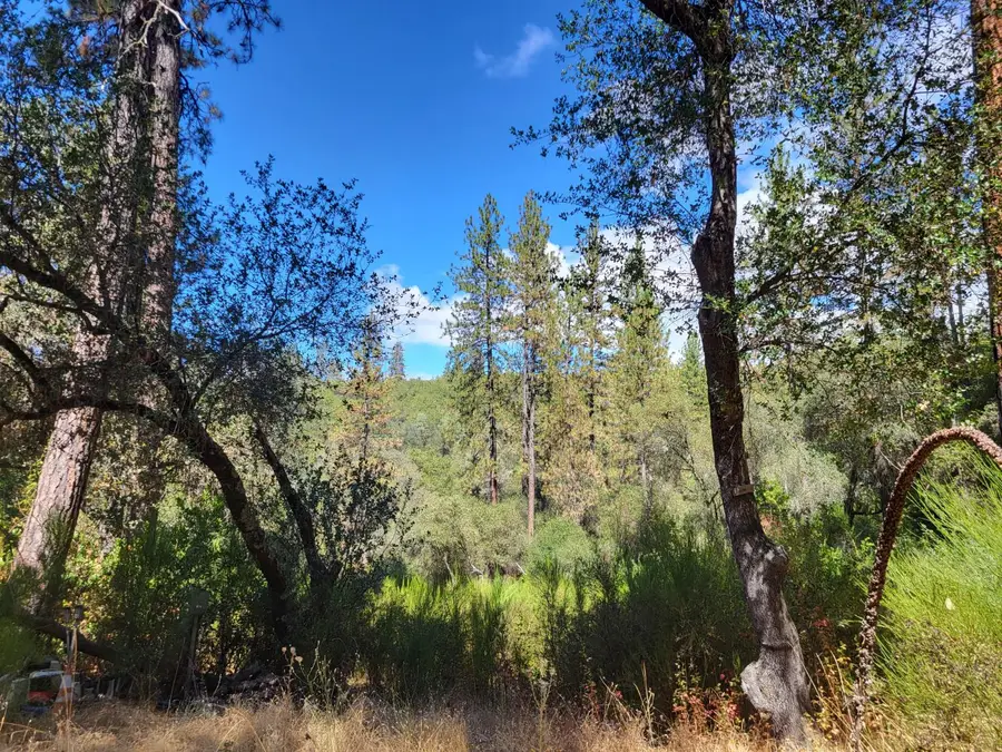 6354 Dean Road, Mount Aukum, CA 95656 - #3