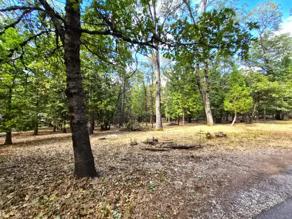 13117 Madrone Forest Drive, Nevada City, CA 95959