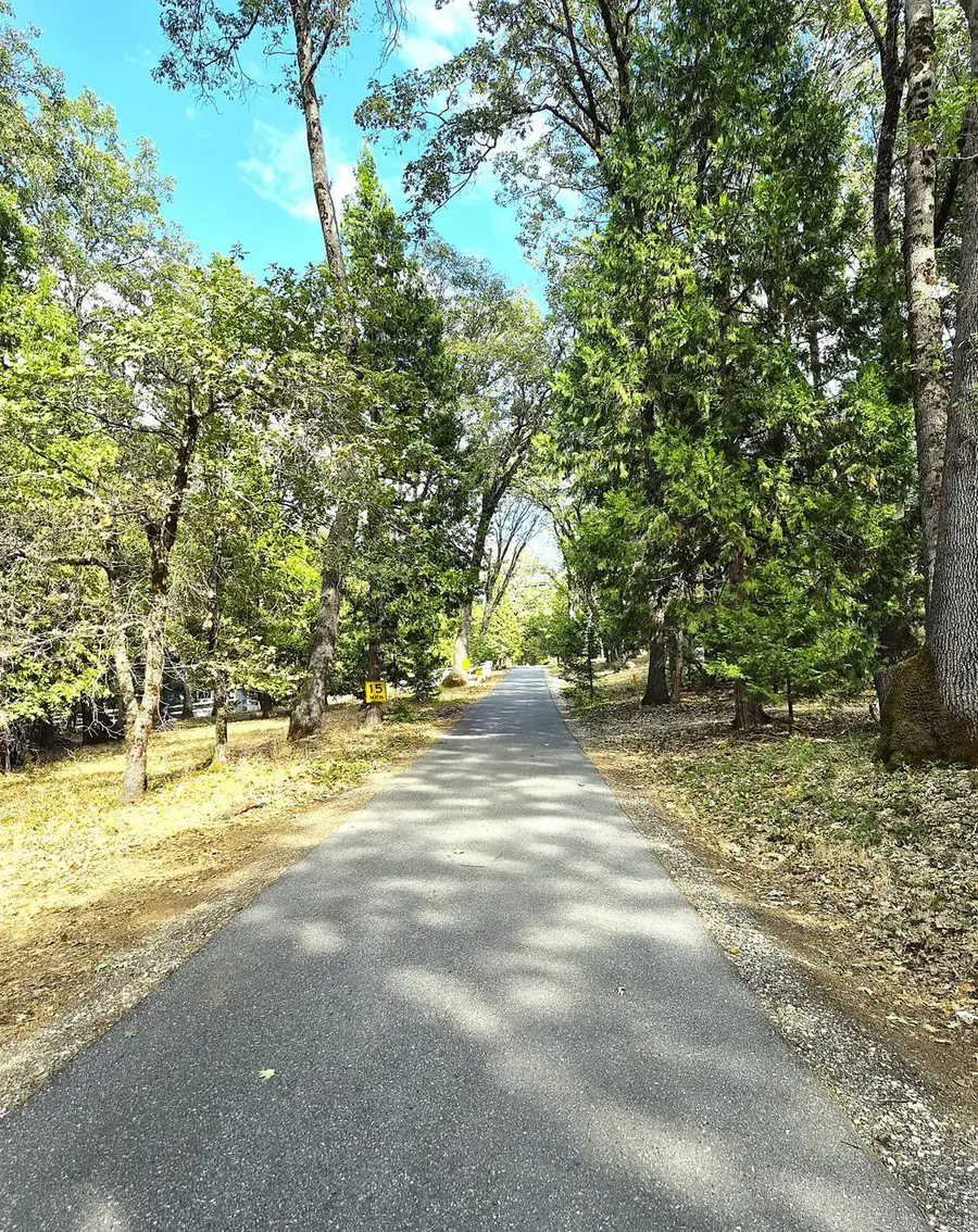 13117 Madrone Forest Drive, Nevada City, CA 95959 - #2