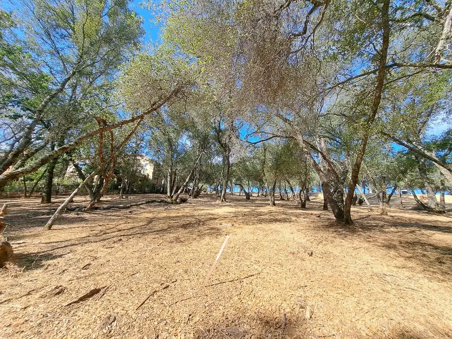 6087 Aldea Drive, El Dorado Hills, CA 95762 - #3