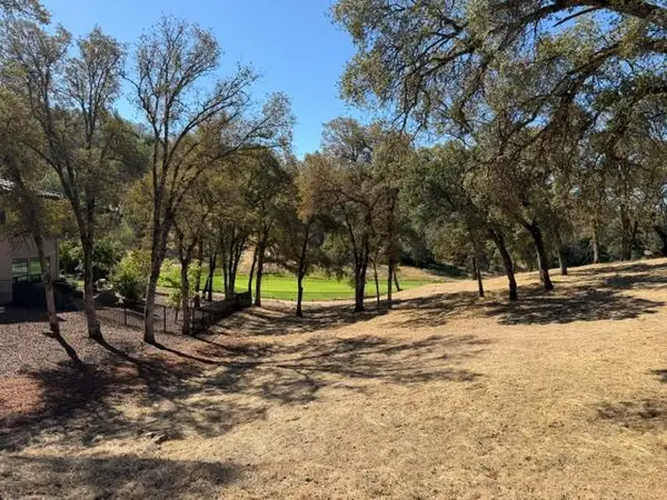 13042 Austin Forest Circle, Auburn, CA 95602