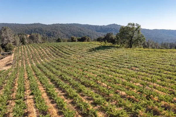 5200 Butte Creek Road, Somerset, CA 95684