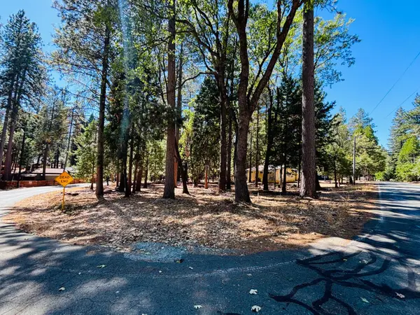23920 Carson Drive, Pioneer, CA 95666