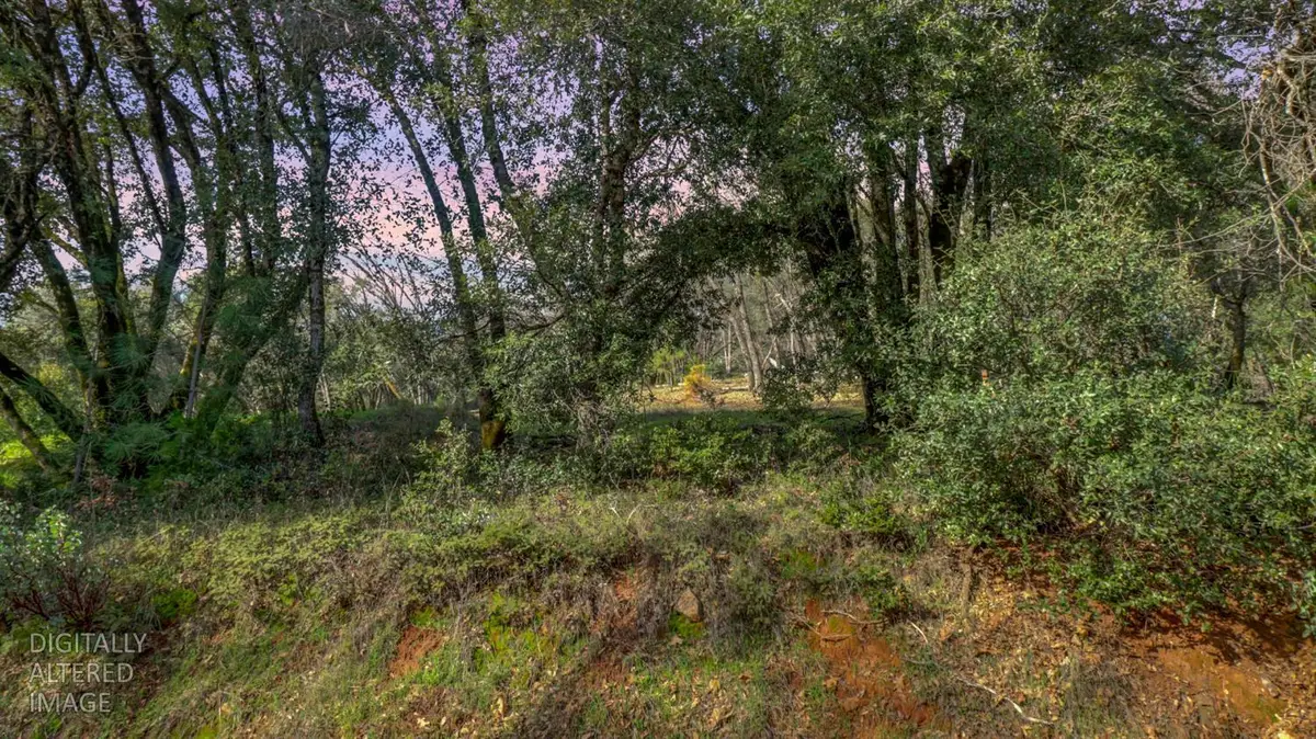 16202 Annie Drive, Grass Valley, CA 95949 - #1