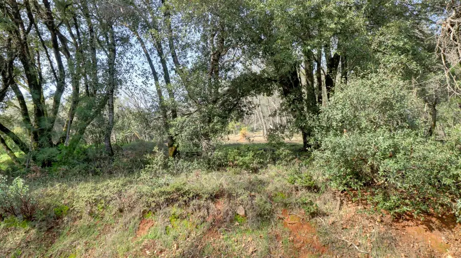 16202 Annie Drive, Grass Valley, CA 95949 - #2