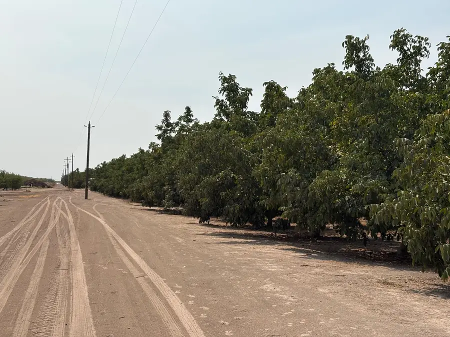 23001 Skiff Road, Escalon, CA 95320 - #2