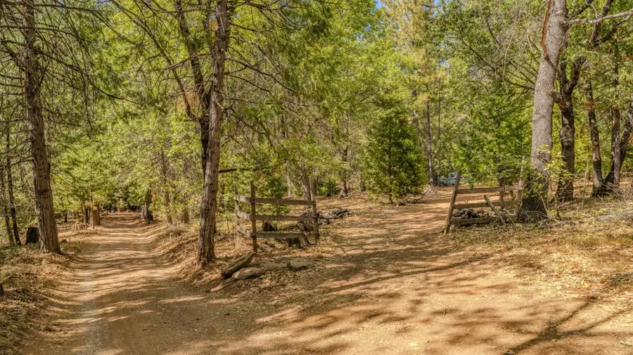 524 Ridge Road, Rail Road Flat, CA 95245 - #3