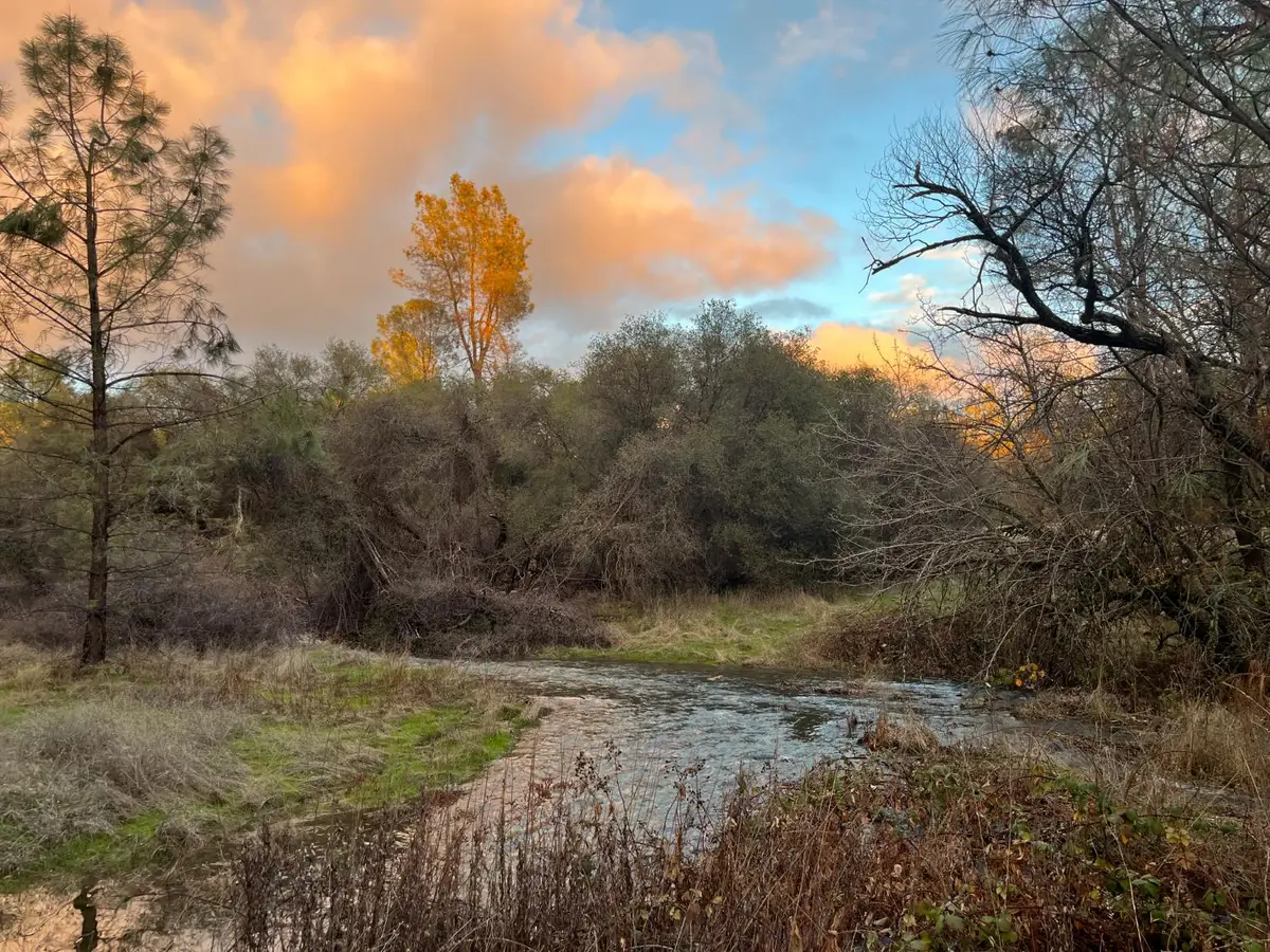 20229 Troost Trail, North San Juan, CA 95960 - #1