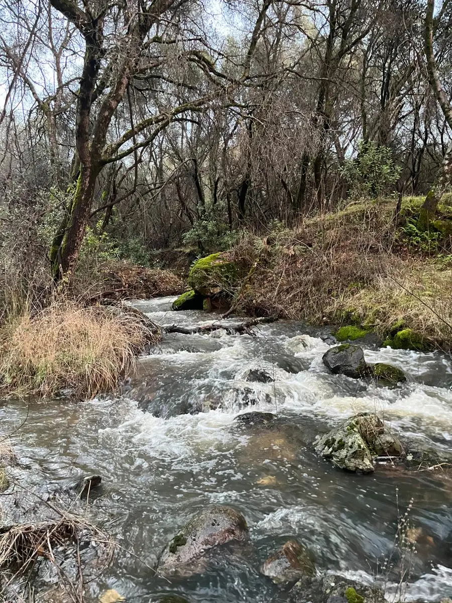 20229 Troost Trail, North San Juan, CA 95960 - #3
