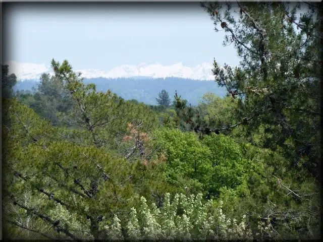 0 Kingvale Road, El Dorado, CA 95623 - #3