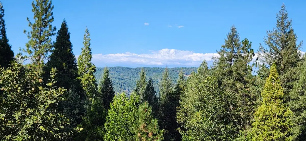 20392 Madrone Springs, Nevada City, CA 95959 - #1