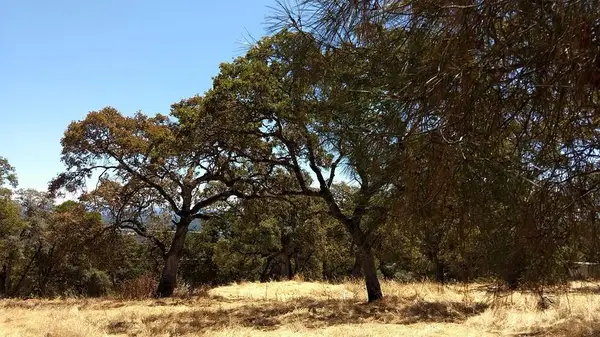 2 Crystal Boulevard, El Dorado, CA 95623