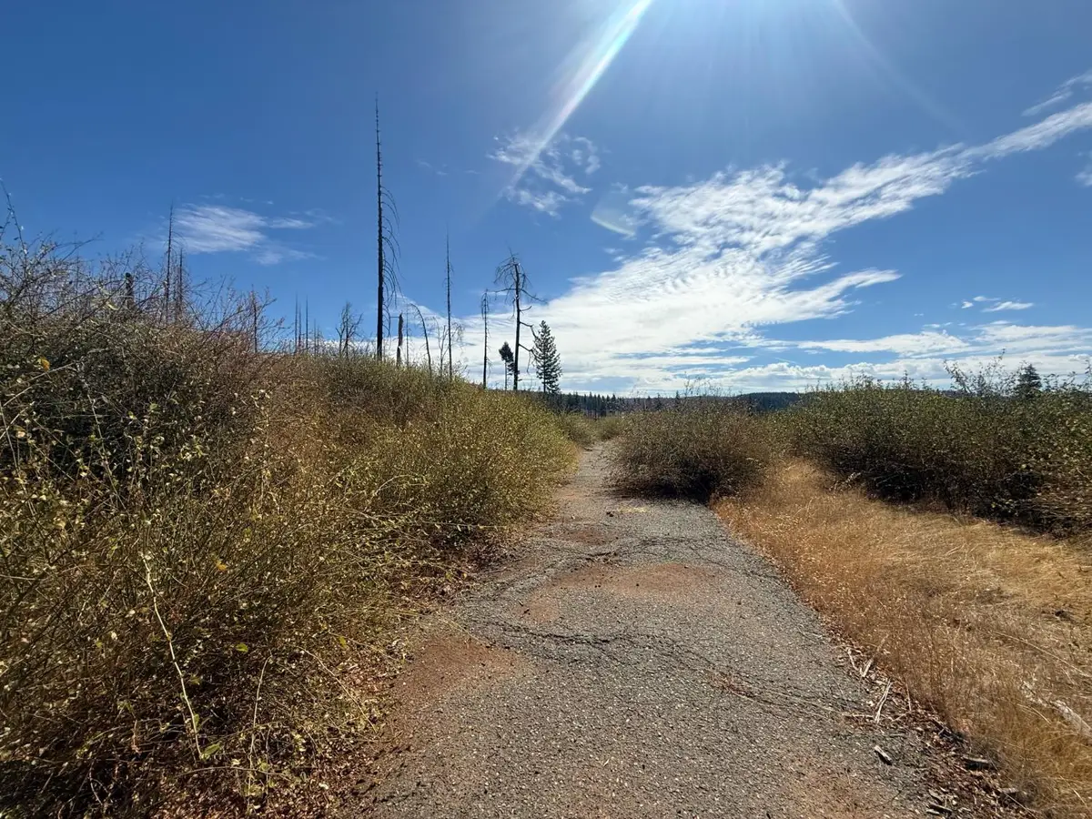 7329 South View Drive, Grizzly Flats, CA 95636 - #1