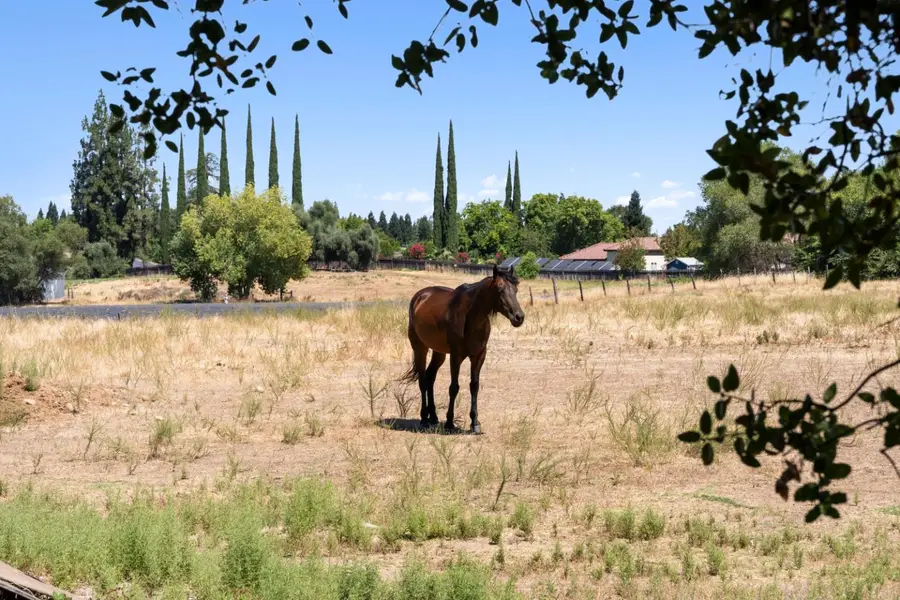 8200 Excelsior Avenue, Orangevale, CA 95662 - #3
