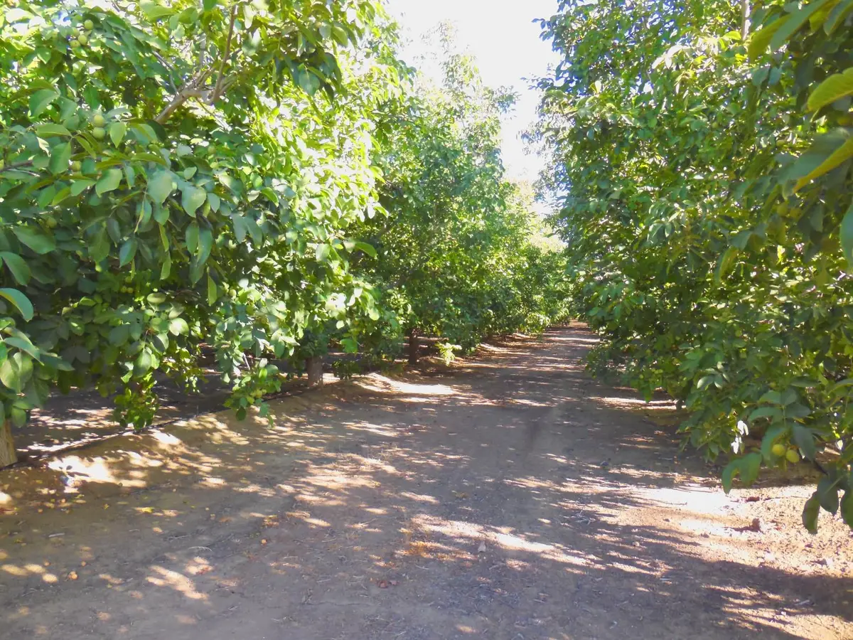 0 Clark Road, Live Oak, CA 95953 - #1