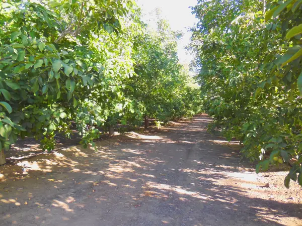 0 Clark Road, Live Oak, CA 95953