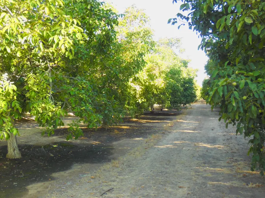 0 Clark Road, Live Oak, CA 95953 - #2