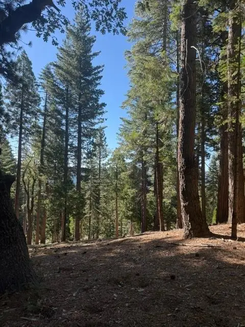 5186 Meko, Camp Connell, CA 95223