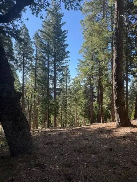 5186 Meko, Camp Connell, CA 95223 - #2