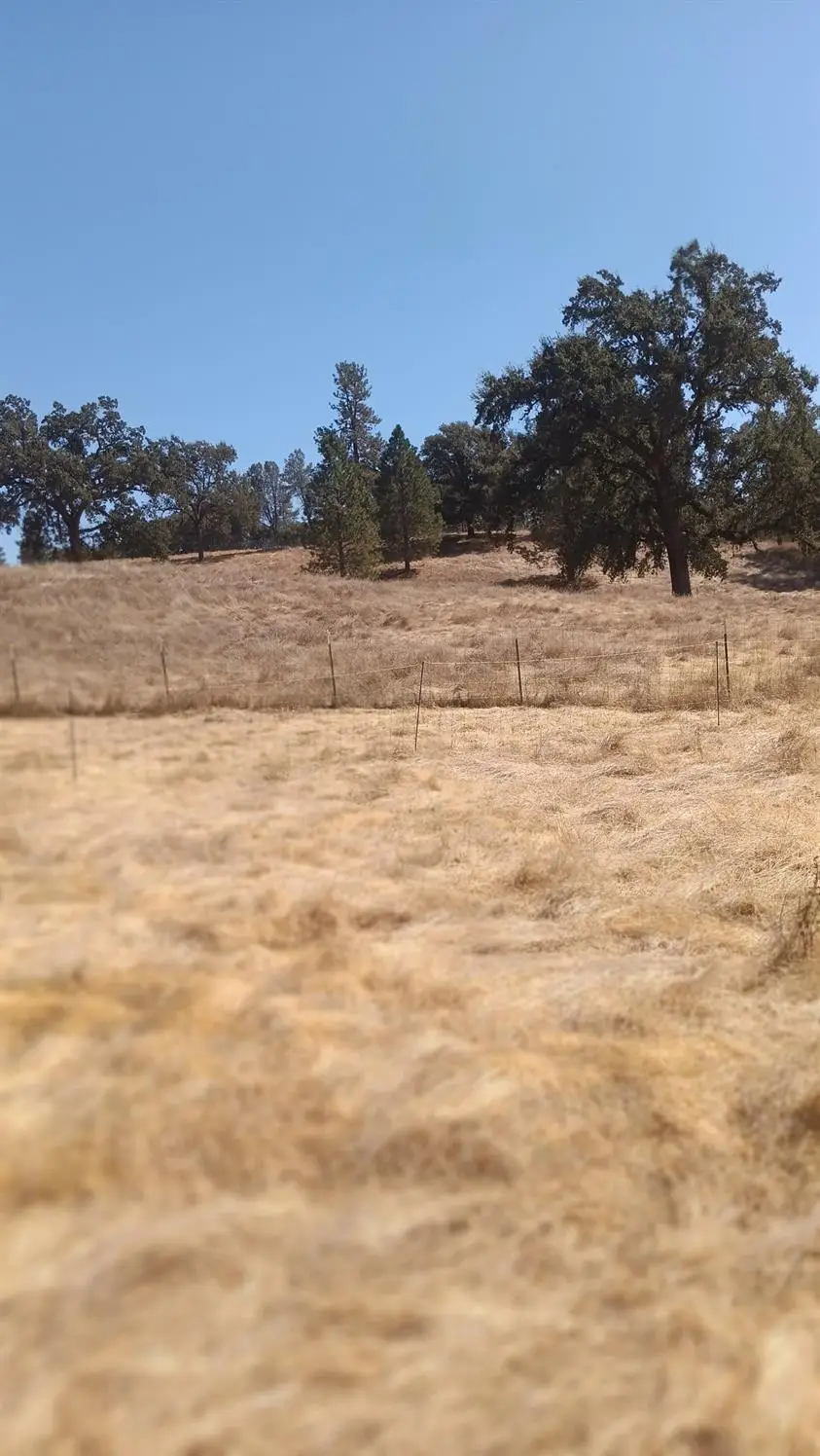 6005 W Shasta Road, Garden Valley, CA 95633 - #1