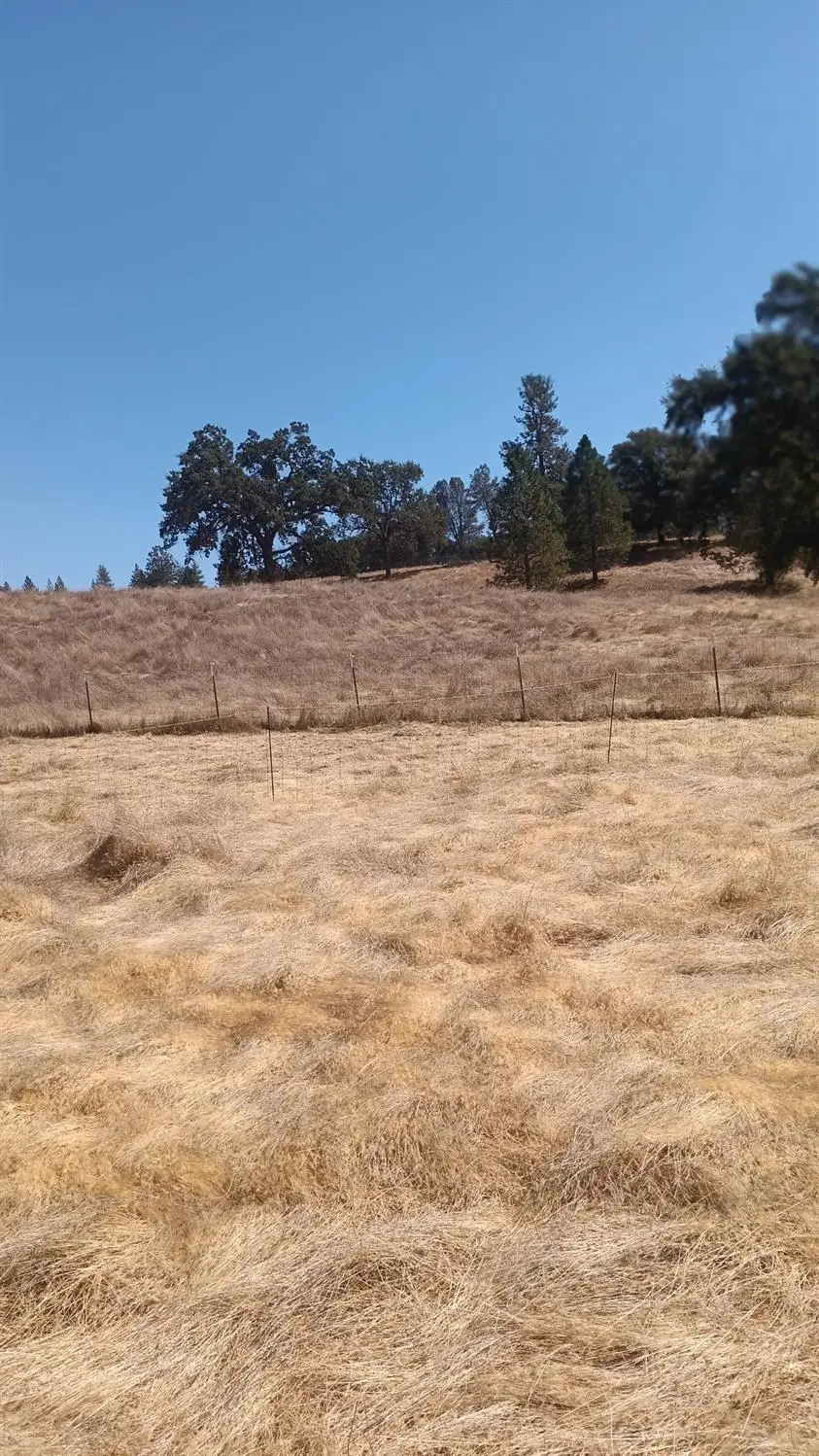 6005 W Shasta Road, Garden Valley, CA 95633 - #2