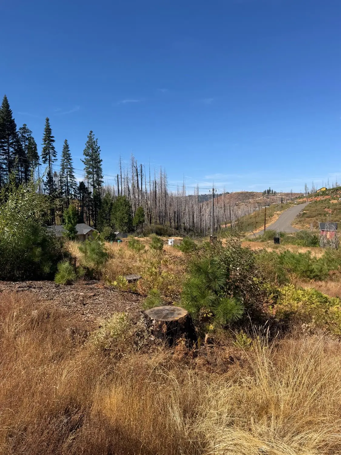 5124 Golden Aspen, Grizzly Flats, CA 95636 - #1