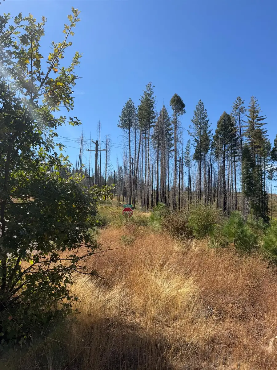 5124 Golden Aspen, Grizzly Flats, CA 95636 - #3