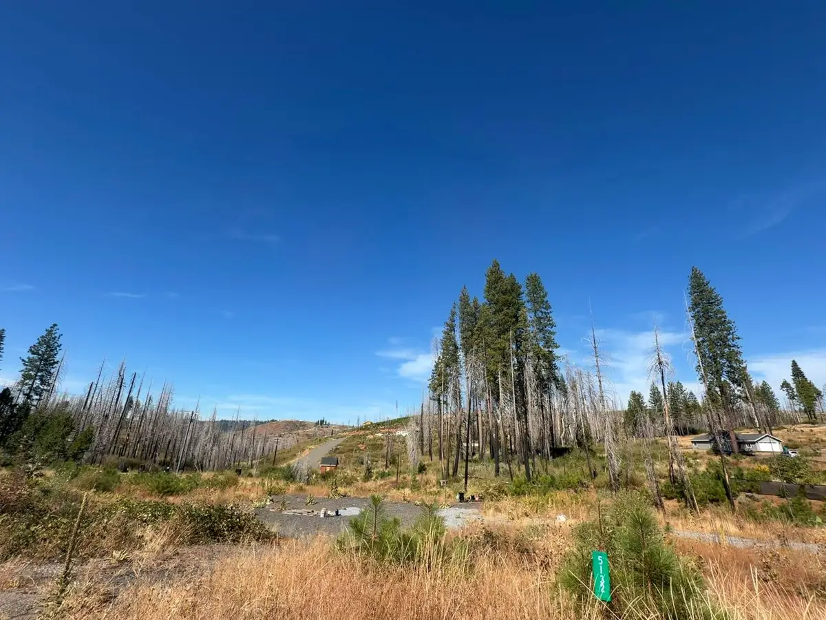 5132 Golden Aspen, Grizzly Flats, CA 95636 - #1