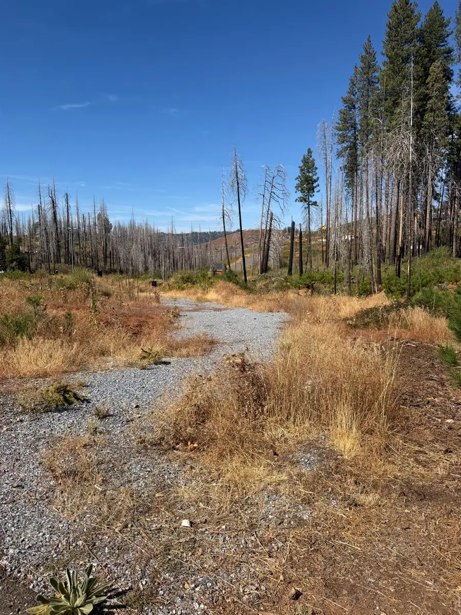 5132 Golden Aspen, Grizzly Flats, CA 95636 - #2