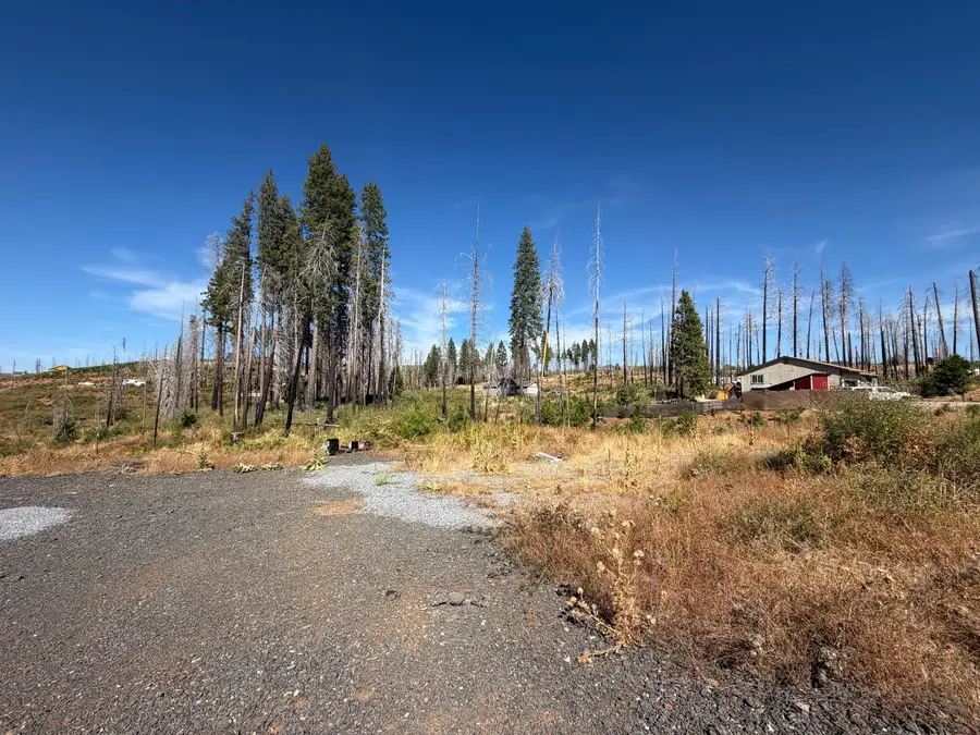 5132 Golden Aspen, Grizzly Flats, CA 95636 - #3