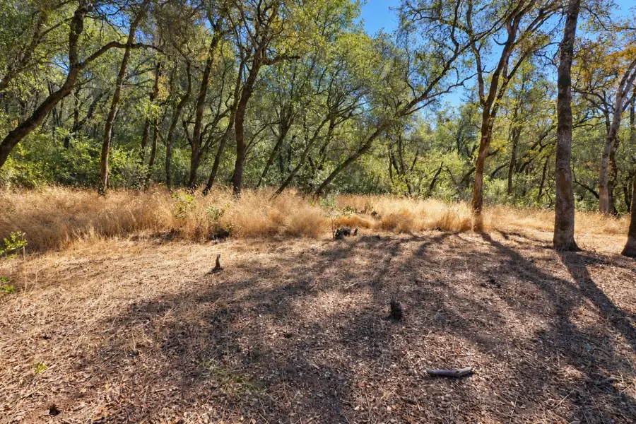 1001 Old Airport, Auburn, CA 95603 - #2