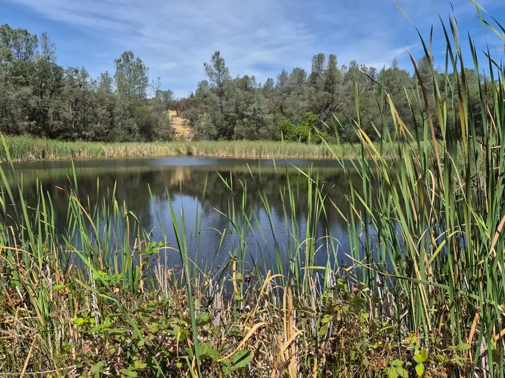 16791 Harmony Hills Way, Grass Valley, CA 95949 - #1