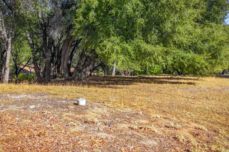 5 Oak Leaf Court, Placerville, CA 95667 - #2